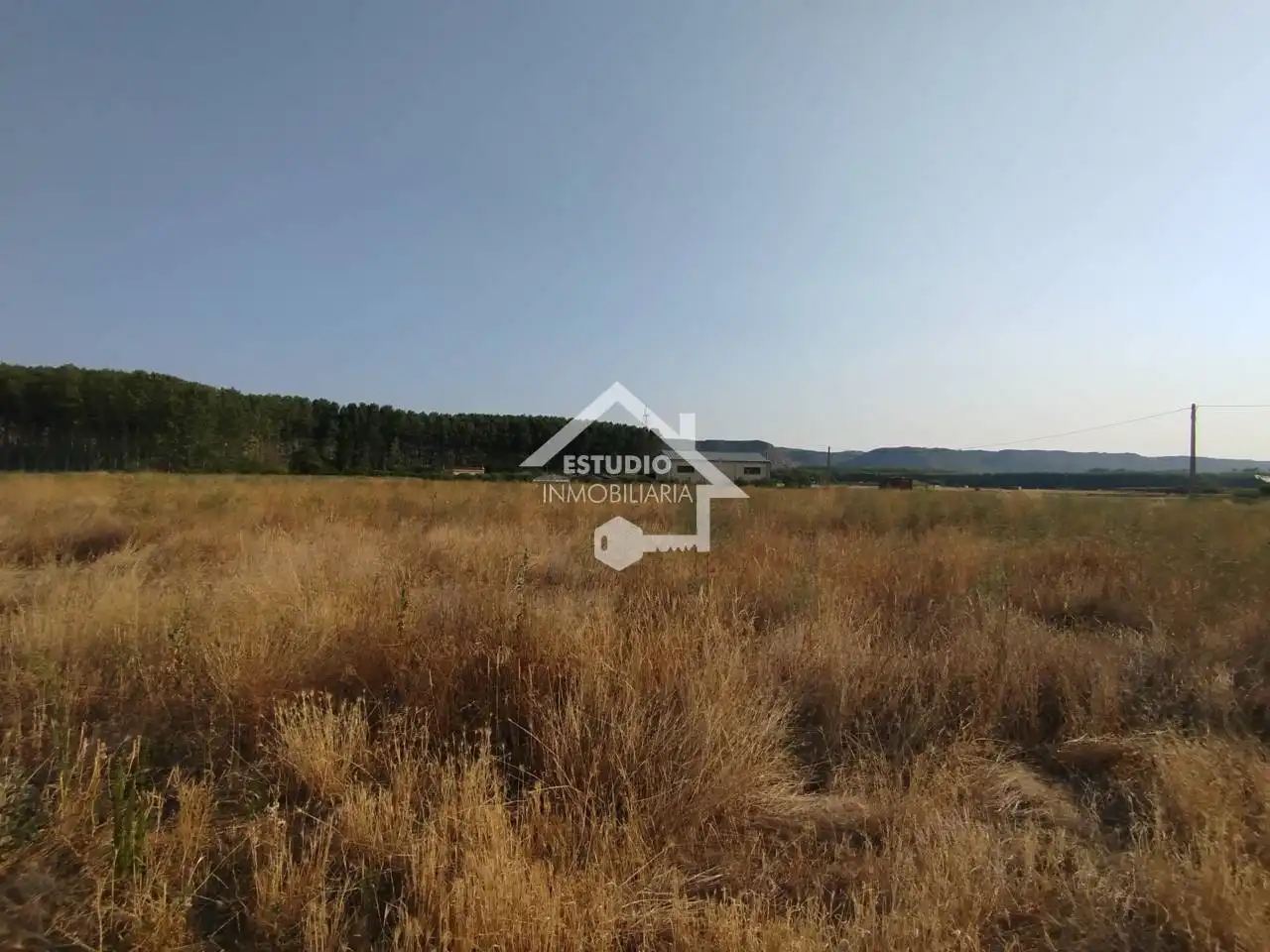 Rural land for sale in Viana, imagen 6