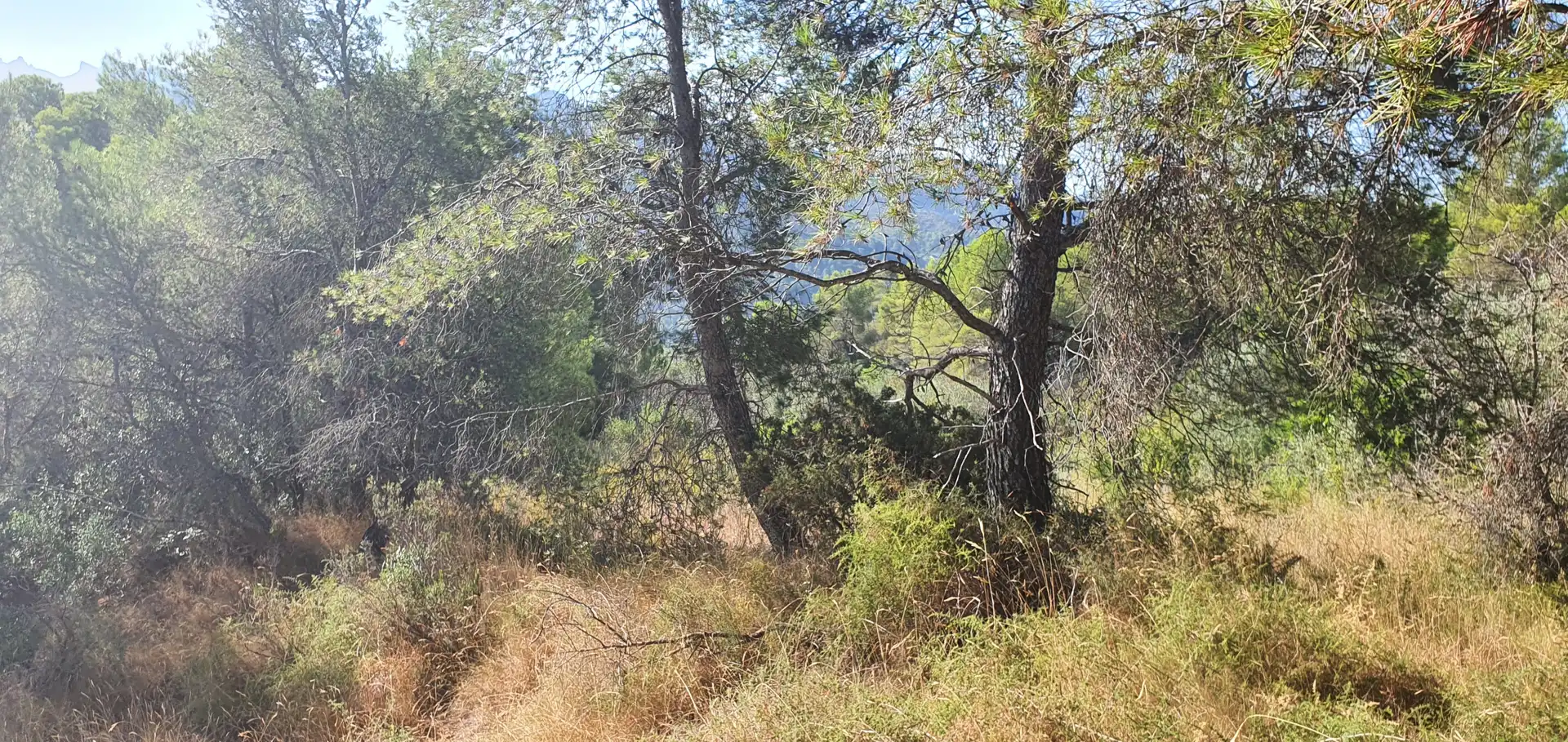 Casa o chalet en venta en Benifallet