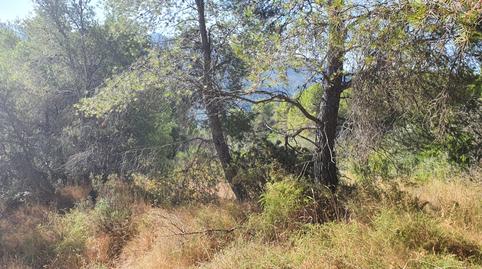 Photo 4 of House or chalet for sale in Benifallet, Tarragona