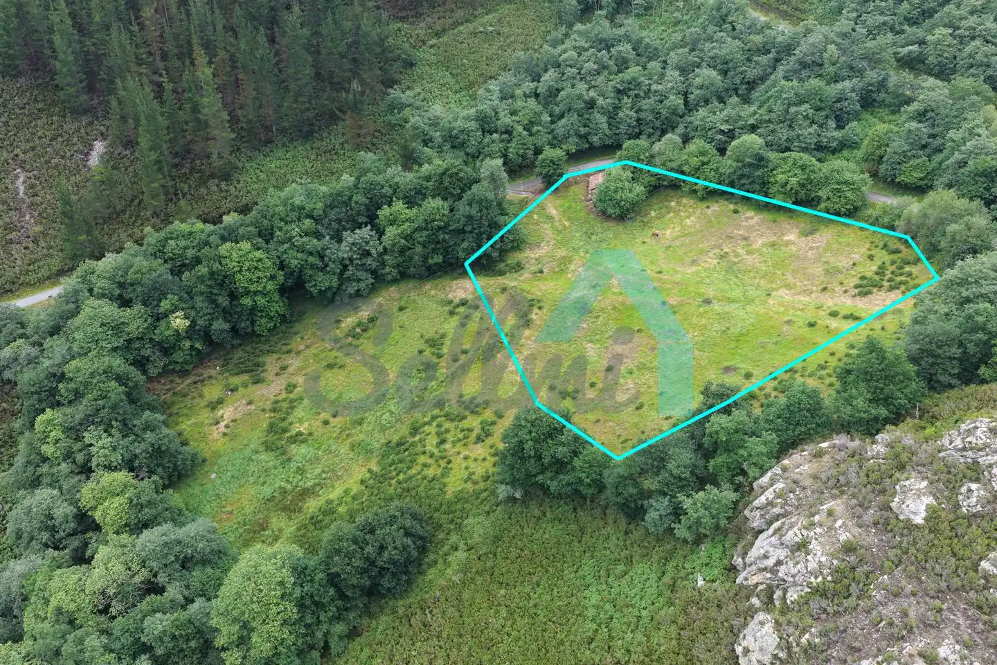 Land for sale in Proaza