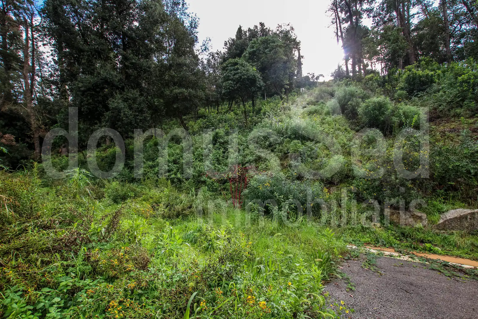 Wohnbaugrundstück zum Verkauf in Vallromanes, imagen 15