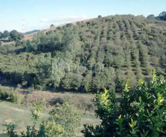 Casa o chalet en venta en Zamudio