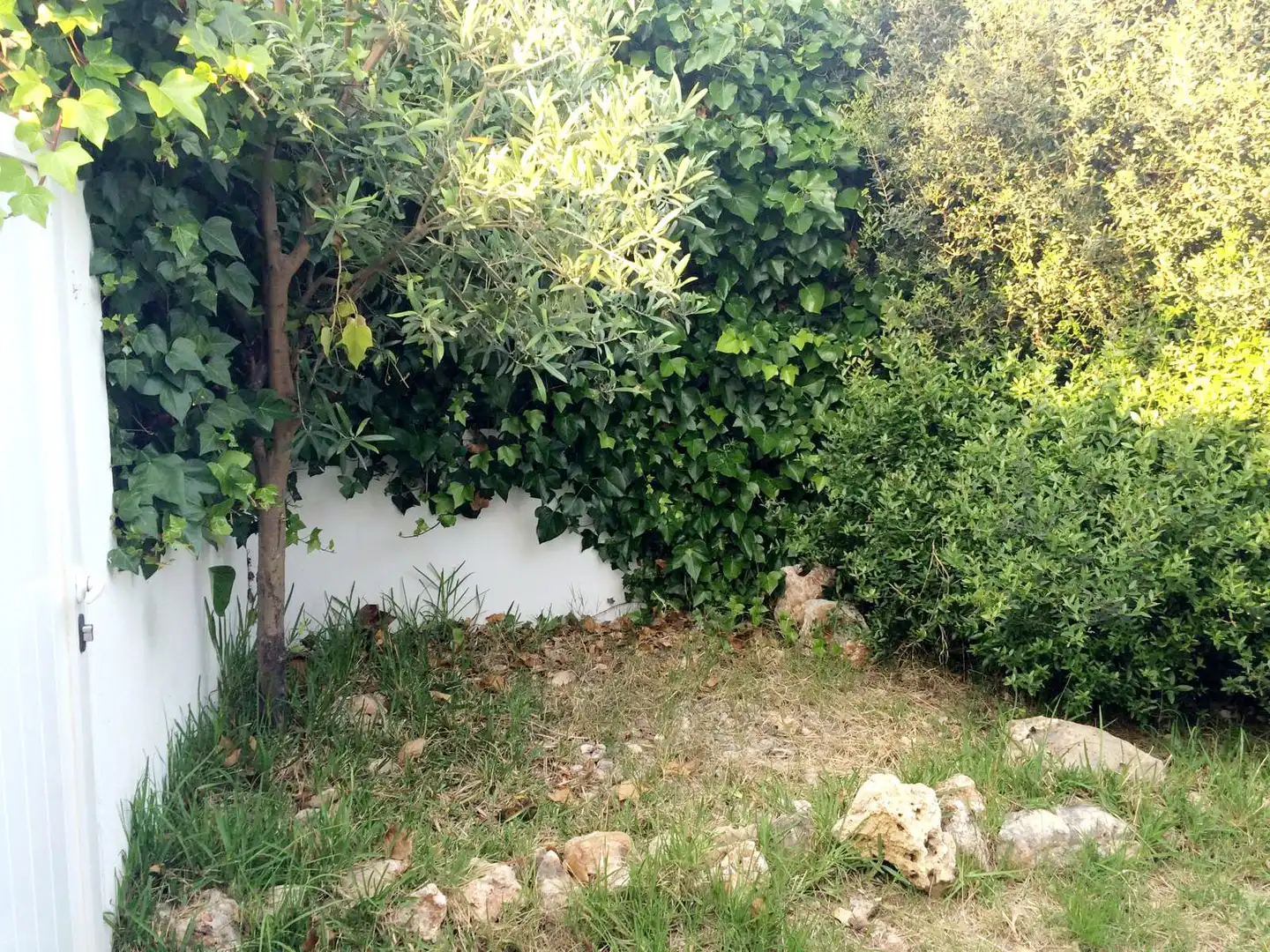 Jardí de Casa o xalet en venda en Ciutadella de Menorca amb Jardí privat, Terrassa i Forn