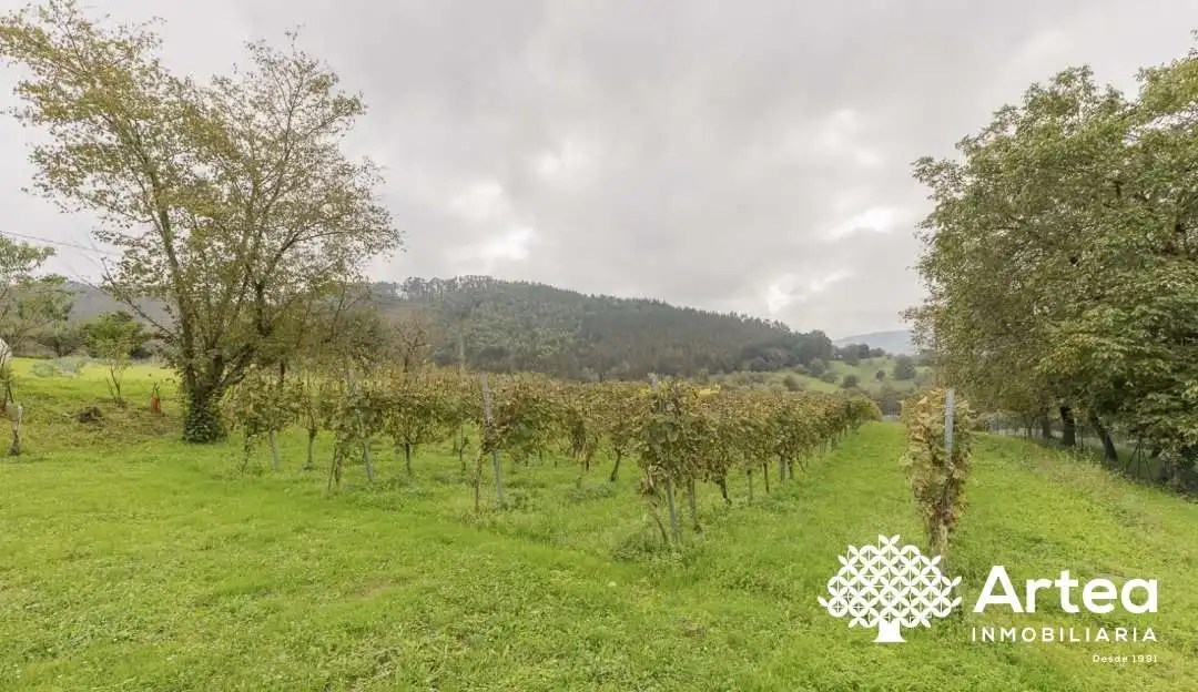 Detached homes for sale in Lezama  with Heating, Private garden and Terrace