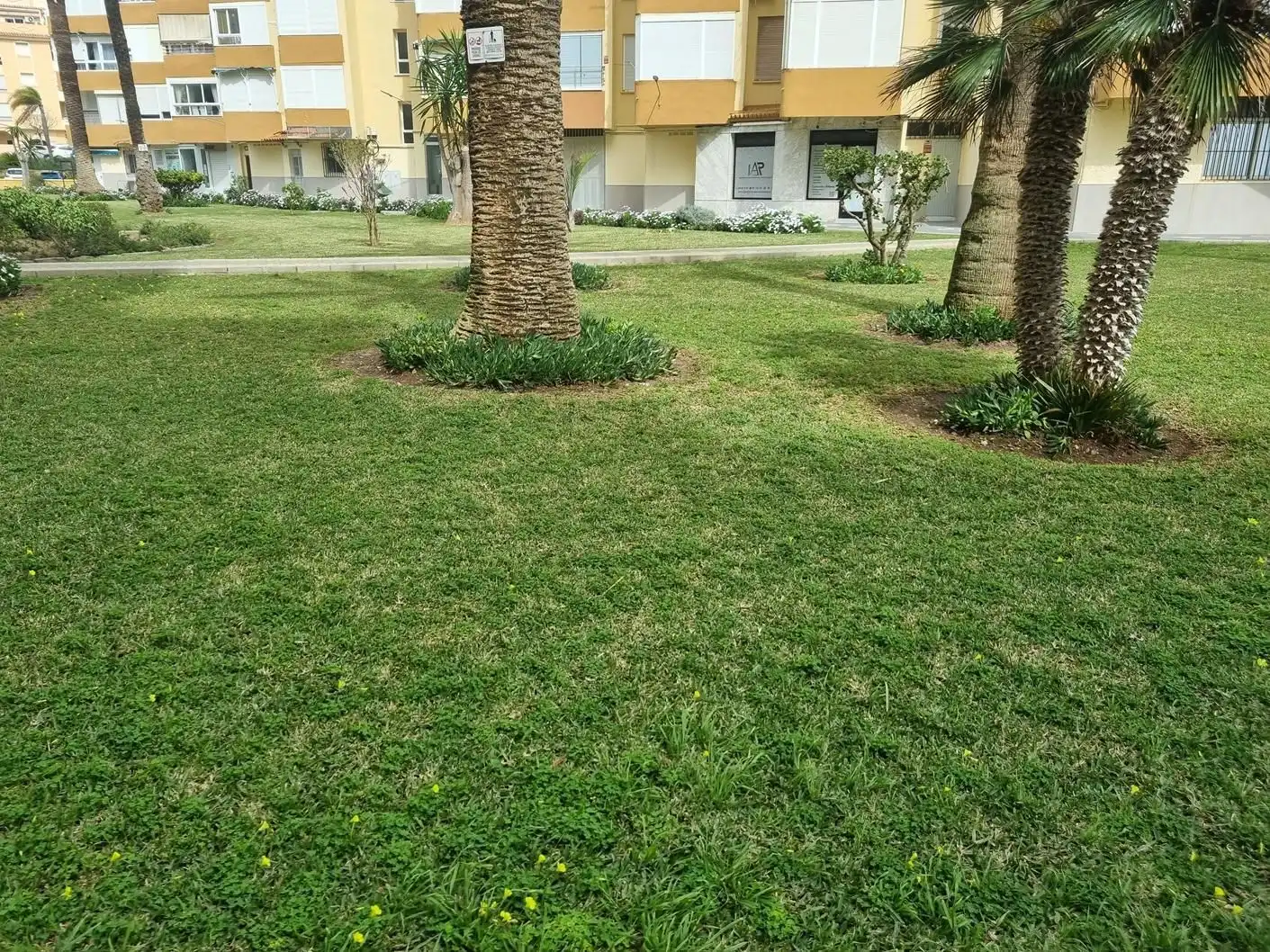 Jardí de Estudi de lloguer en Algarrobo amb Aire condicionat, Calefacció i Terrassa