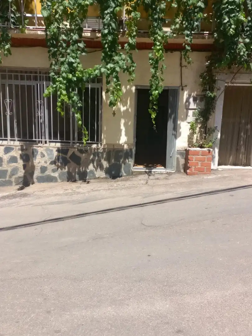 Exterior view of Commercial properties for rent in Cañamero