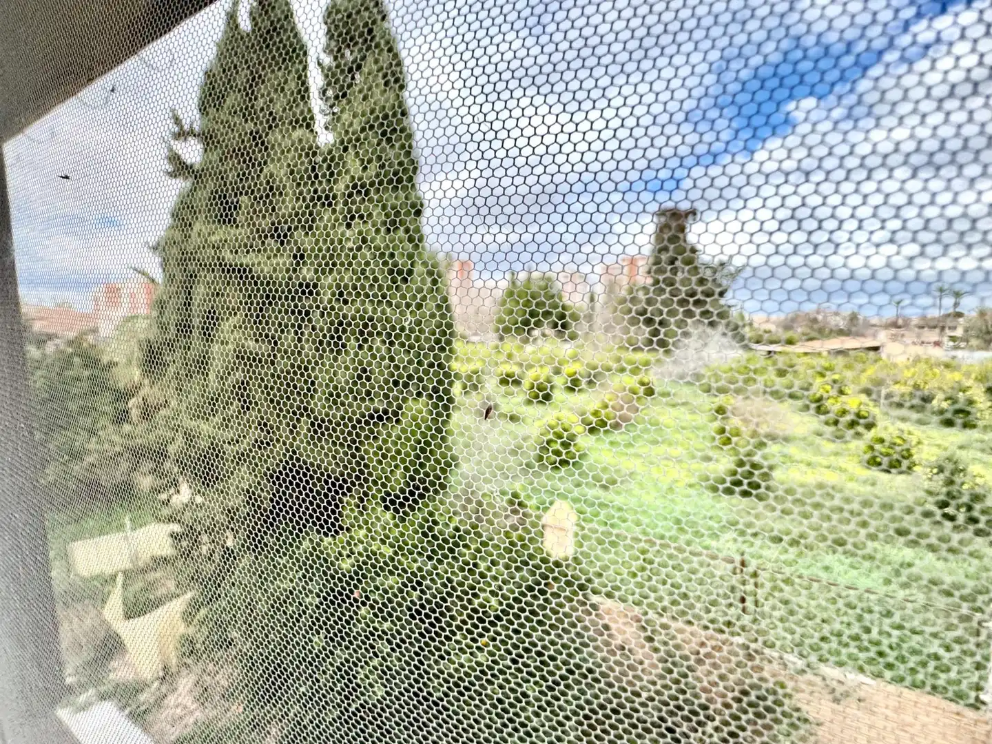 Garden of Houses for sale in Murcia  with Air Conditioner, Private garden and Terrace