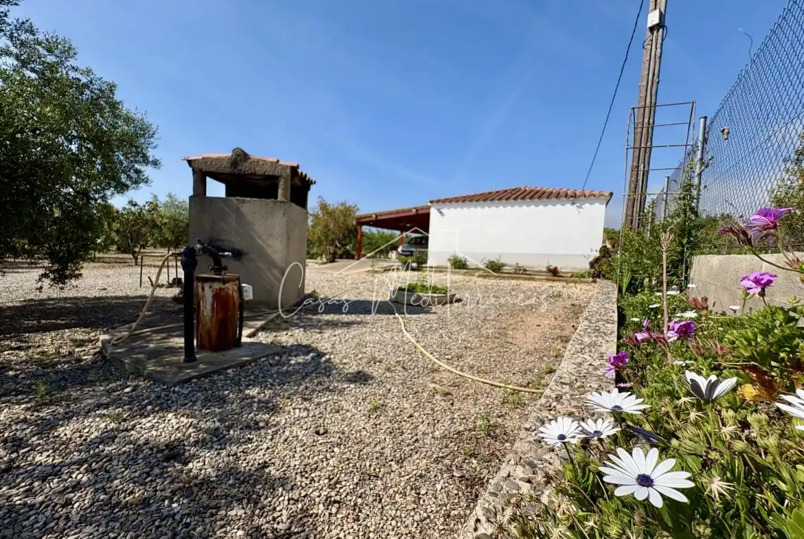 Vista exterior de Finca rústica en venda en Mont-roig del Camp amb Aire condicionat, Calefacció i Jardí privat