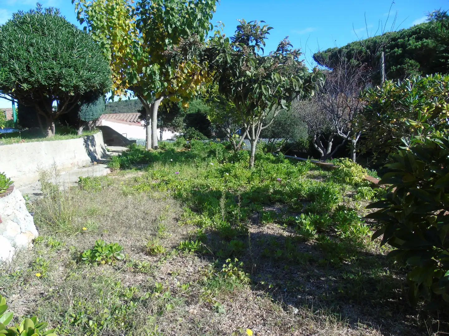 Casa in vendita a Mas Mora - Sant Daniel, imagen 37