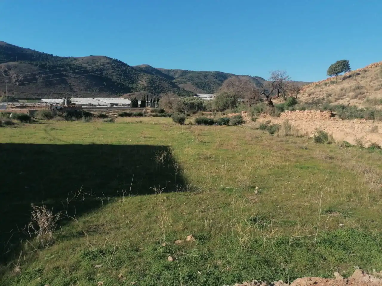Terreno industrial en venta en Dalías