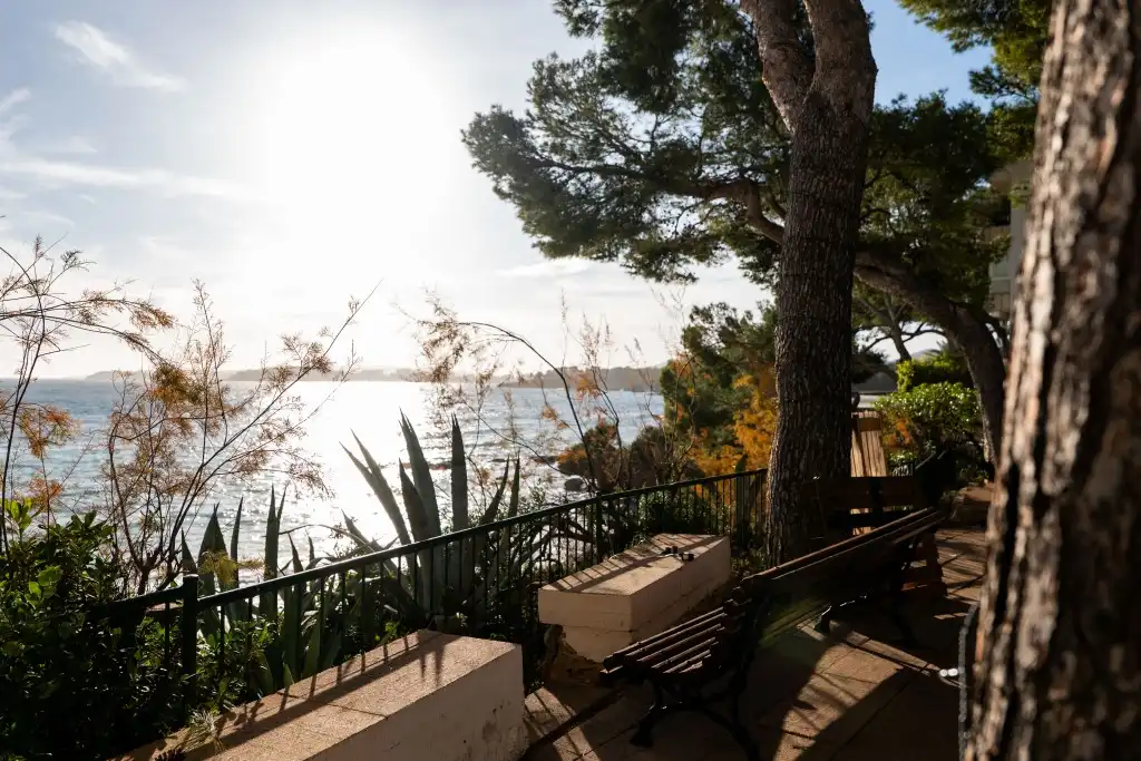 Mini appartamento con terrazza in vendita a Portals Nous, imagen 14
