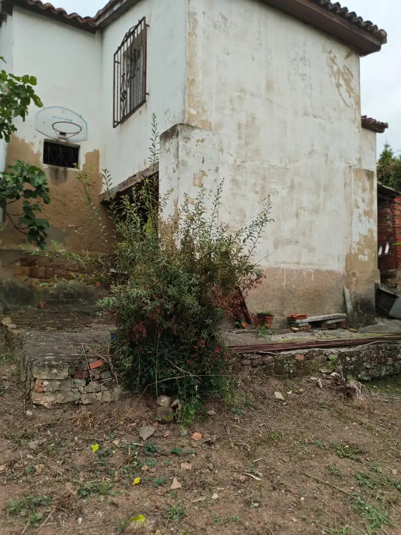 Exterior view of Houses for sale in Castrillón
