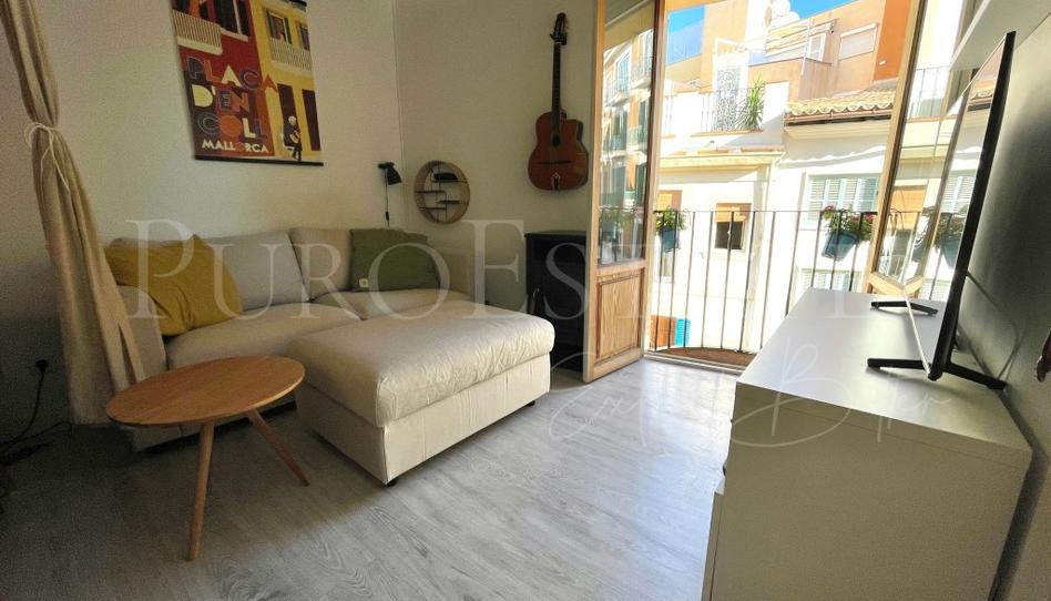 Photo 1 of Flat for sale in N/a, Cort, Illes Balears