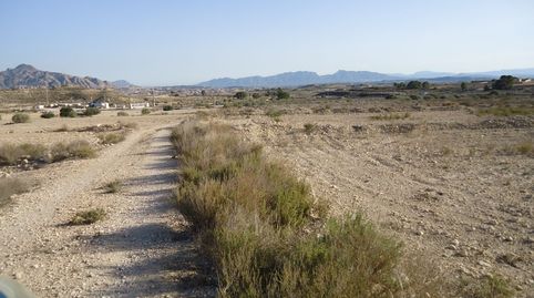 Parcela Rústica de 4.551 m en Abanilla  Entorno Natural con Vistas Espectaculares, immagine 3