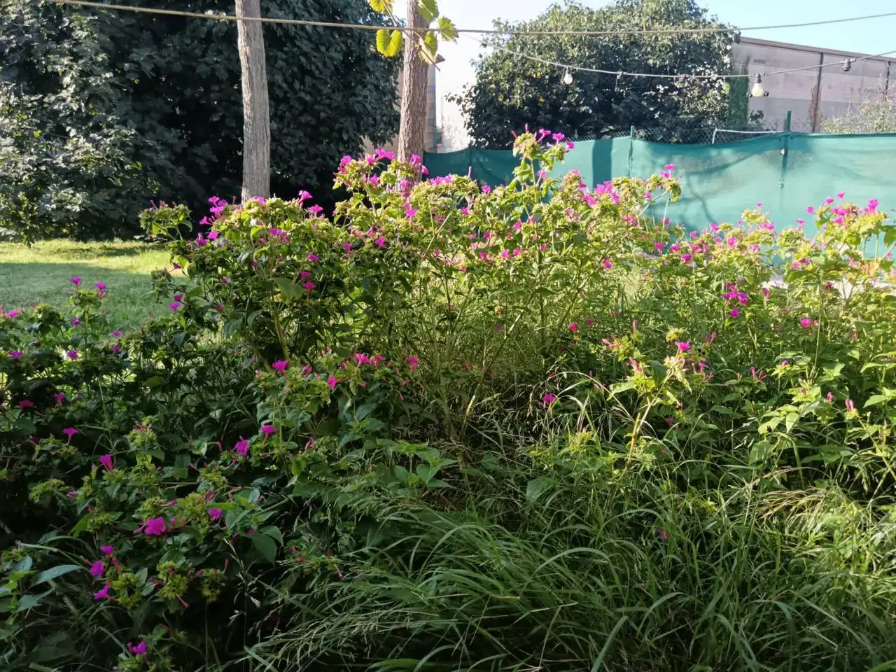 House with garden for sale in Fornells de la Selva, imagen 7