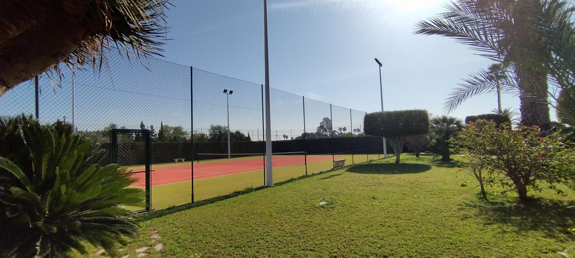 Vista exterior de Casa o xalet en venda en Elche / Elx amb Aire condicionat, Jardí privat i Terrassa