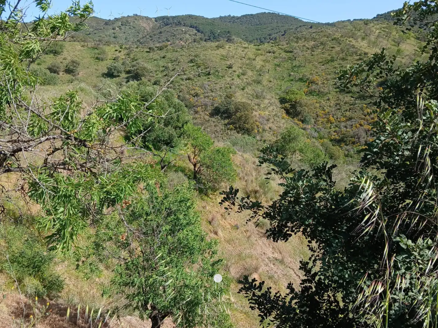 Grundstücke zum Verkauf in Carratraca