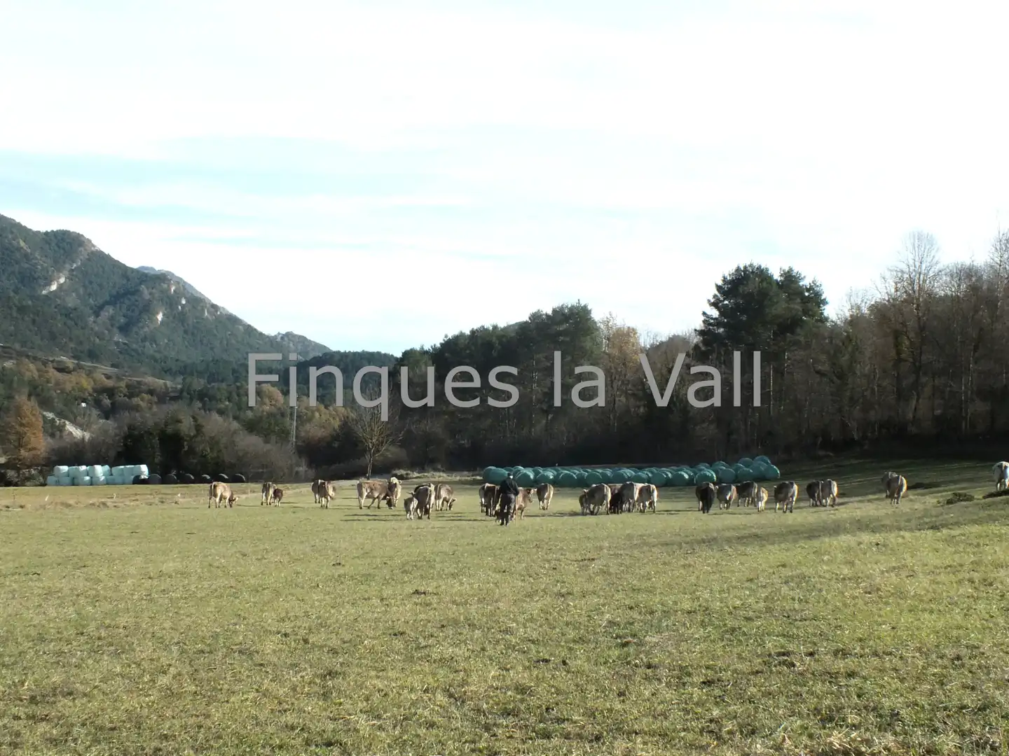 Casa o xalet en venda en Gombrèn amb Balcó
