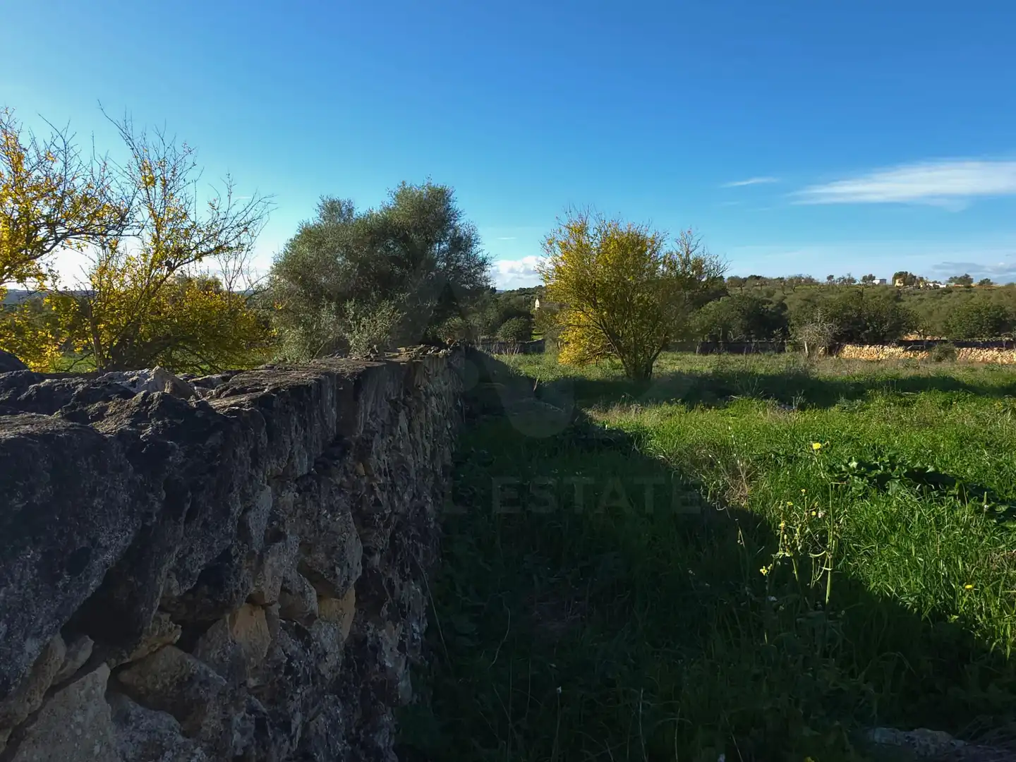 Terreni e lotti in vendita a Santa Margalida Poble, imagen 30