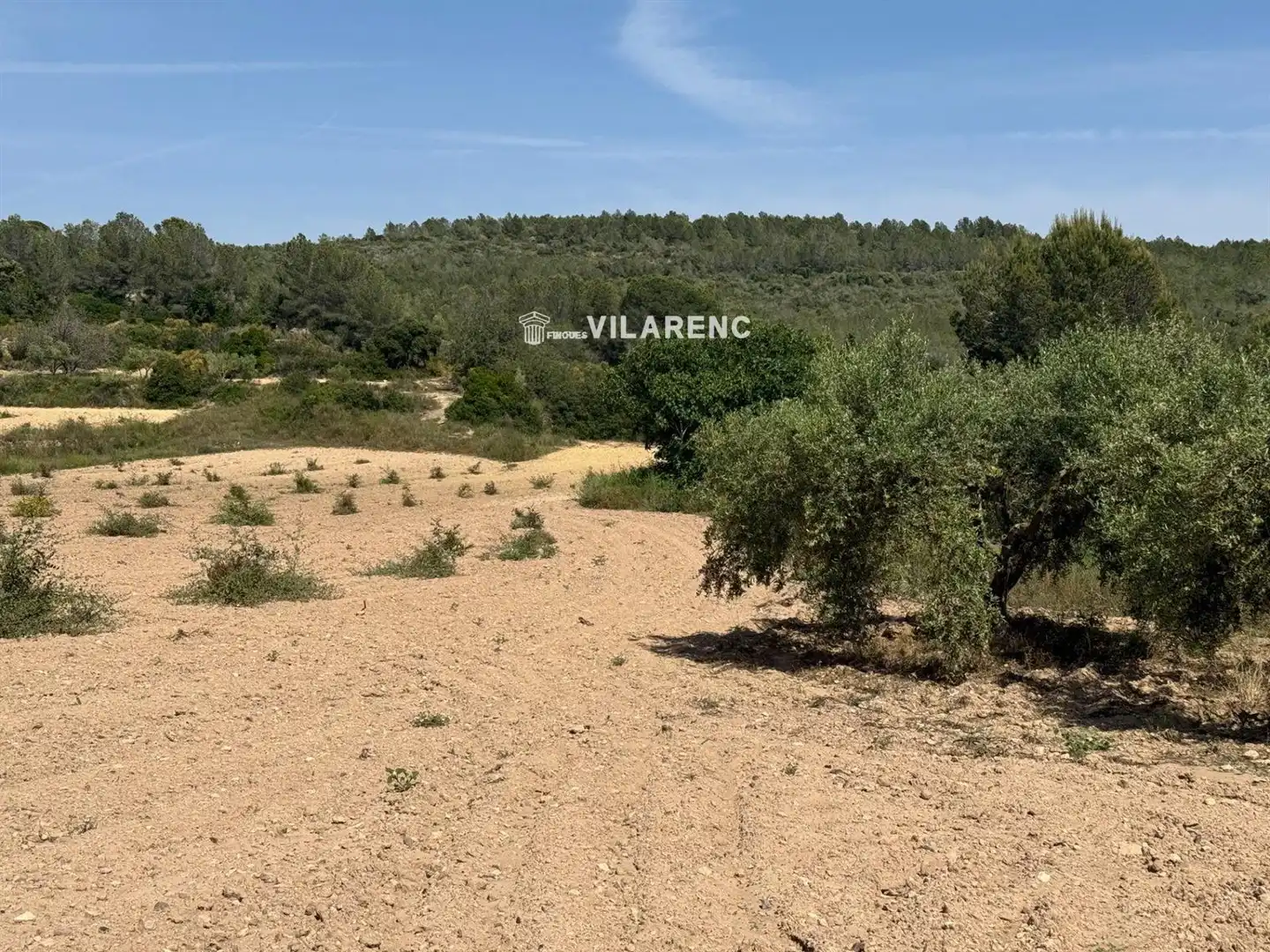 Rural land for sale in Massos de Vespella, imagen 8