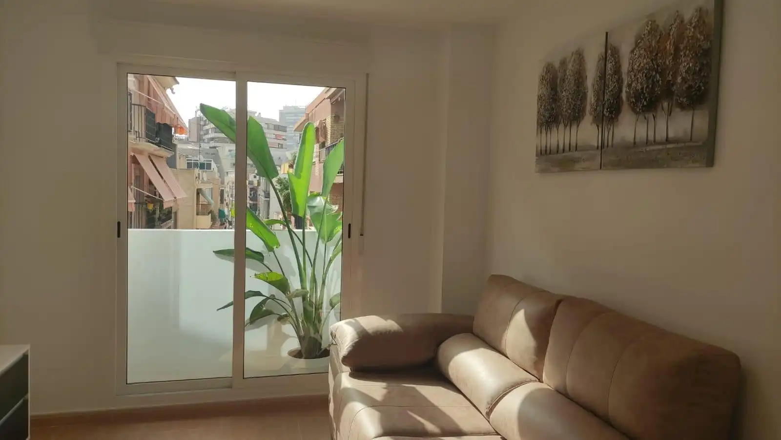 Apartamento con terraza en venta en Calle CARLOTA PASARON, imagen 13