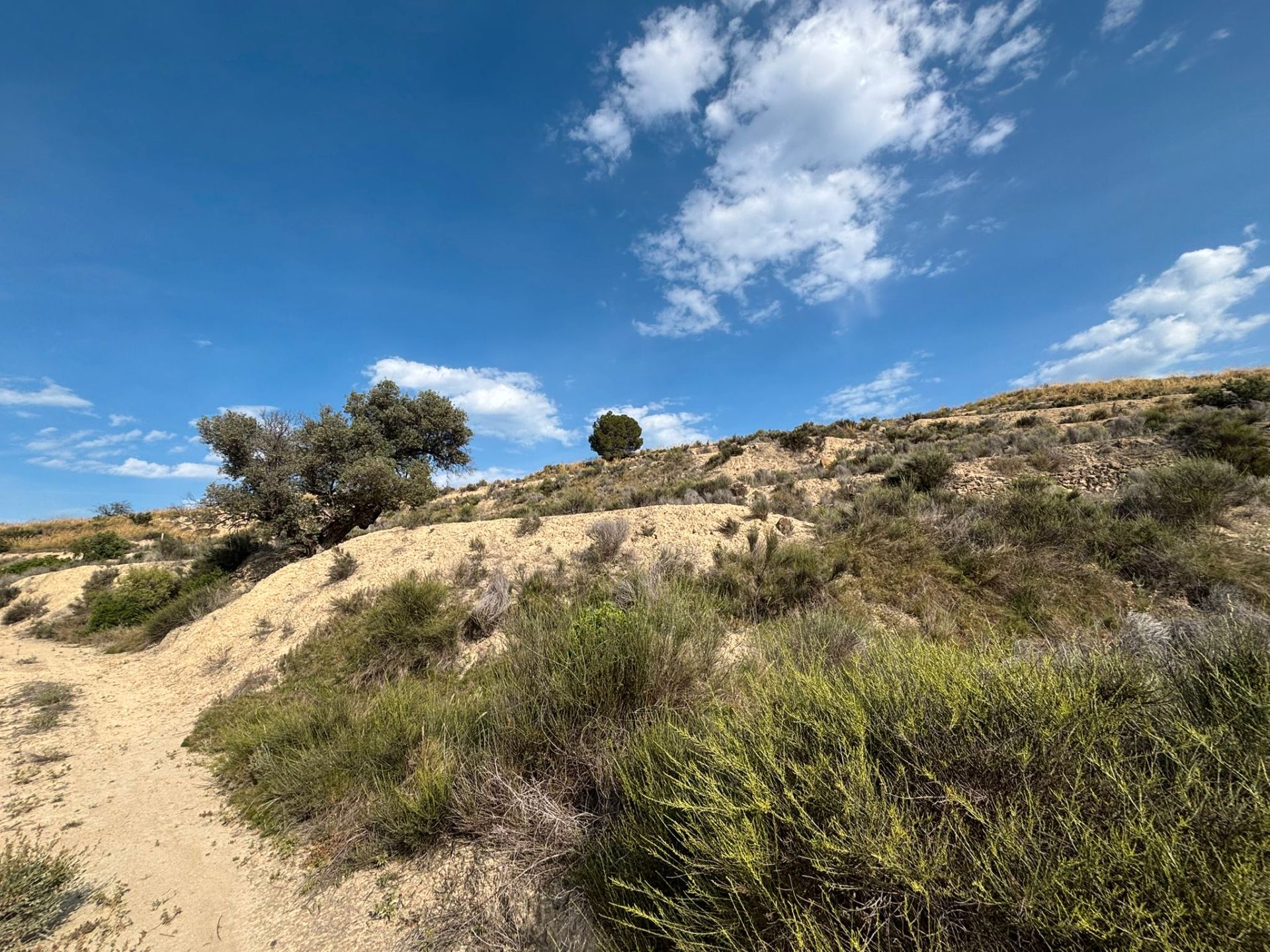 Grundstücke zum verkauf in Busot