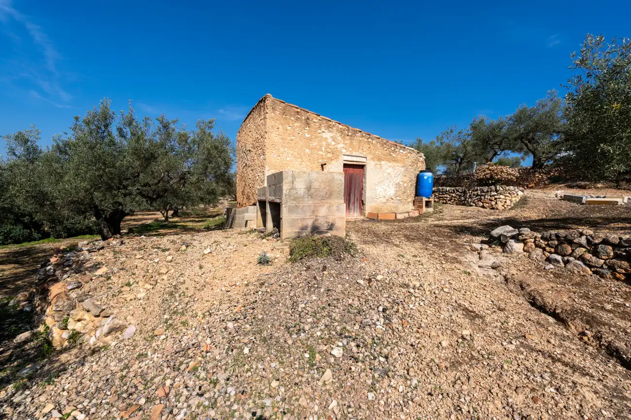 Terrain rustique à vendre à Camí Del Filato 1093, imagen 6