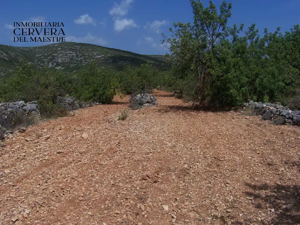 Rural land for sale in Cervera del Maestre, imagen 8