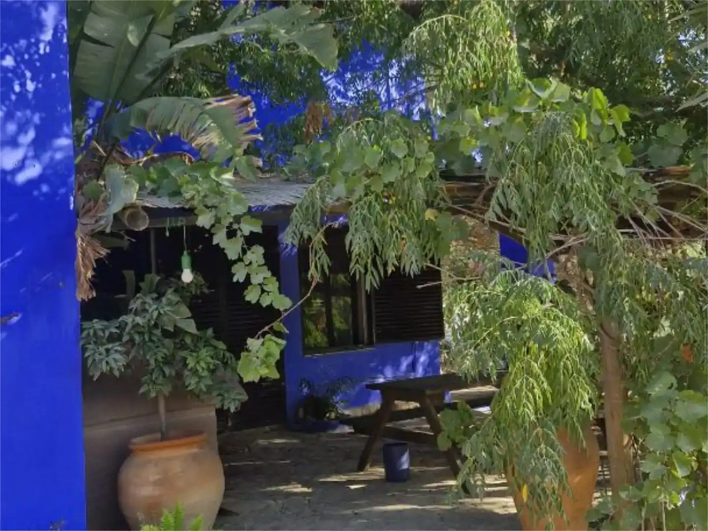 Garden of Houses for rent in Barbate  with Private garden, Parquet flooring and Swimming Pool