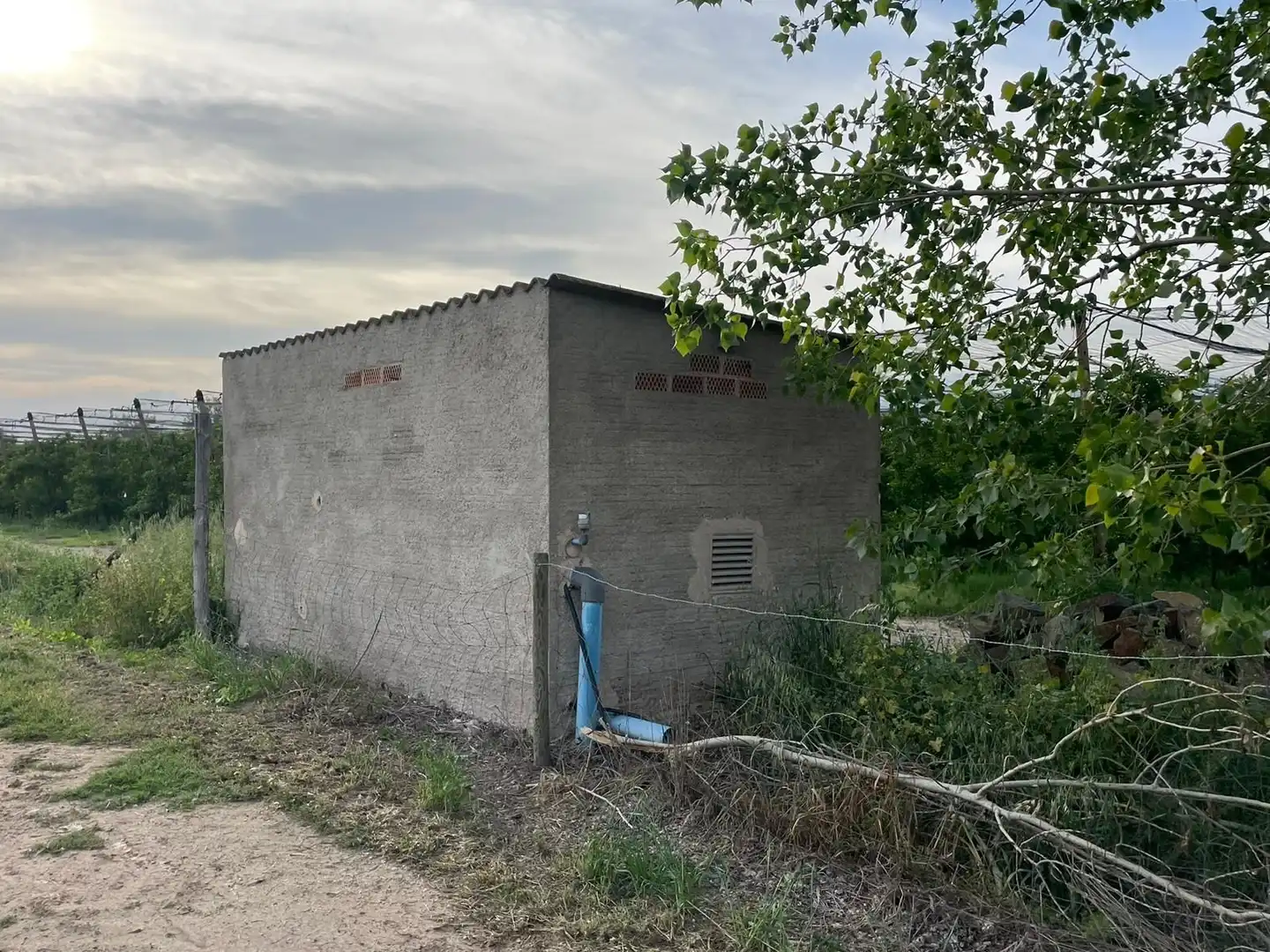 Rural land for sale in Sant Pere Pescador, imagen 13