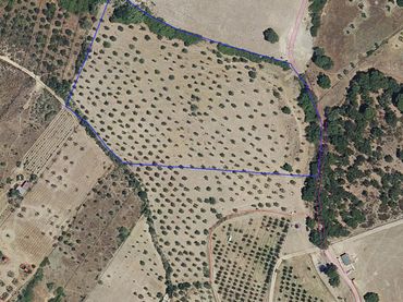 Rural land for sale in N/A