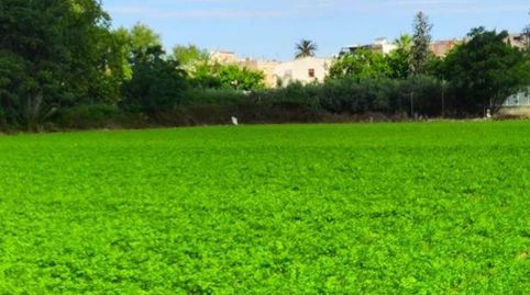 Foto 2 de Terreno en venta en Camino Carril Vicentes, Puente Tocinos, Murcia Capital