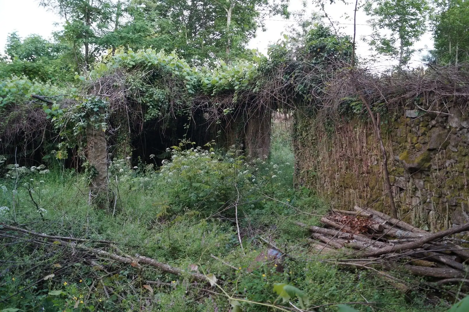 Terreni e lotti in vendita a Lugar Bemil, imagen 16