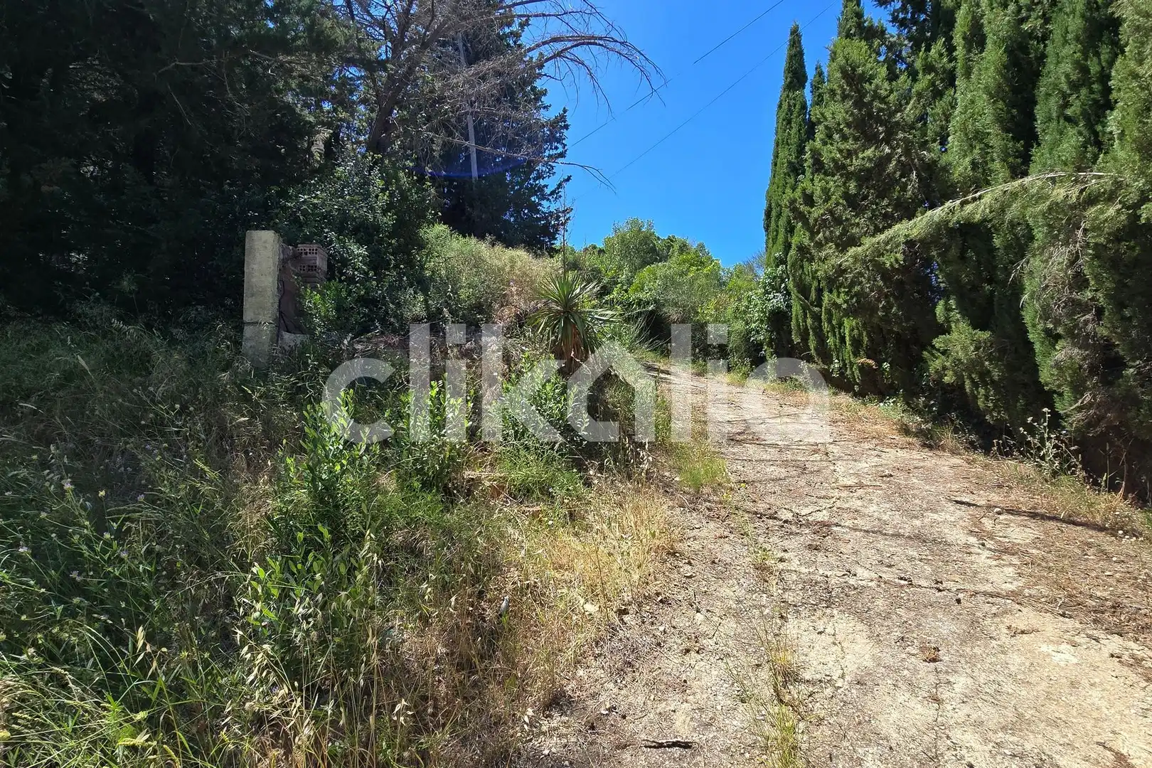 Casa o xalet en venda en Alforja amb Jardí privat, Terrassa i Piscina