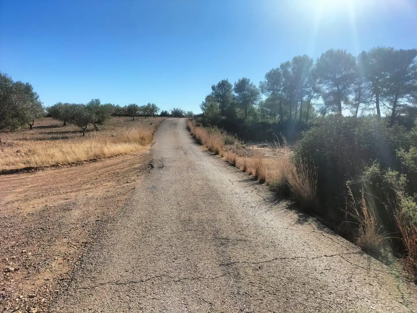 Terreno rustico in vendita a Polígono 7 Parcela 82 LOMA FERRER. NAVARRES (VALE 7, imagen 18