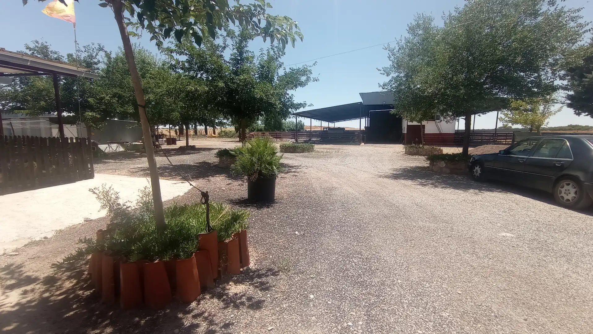 Terreno rústico en venta en Carrión de Calatrava, imagen 20