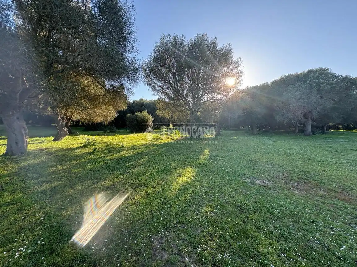 Terreno en venta en Barbate