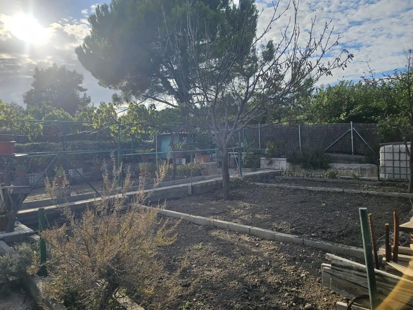 Casa amb jardí en venda a Carrer Carrer Margarida, imagen 4