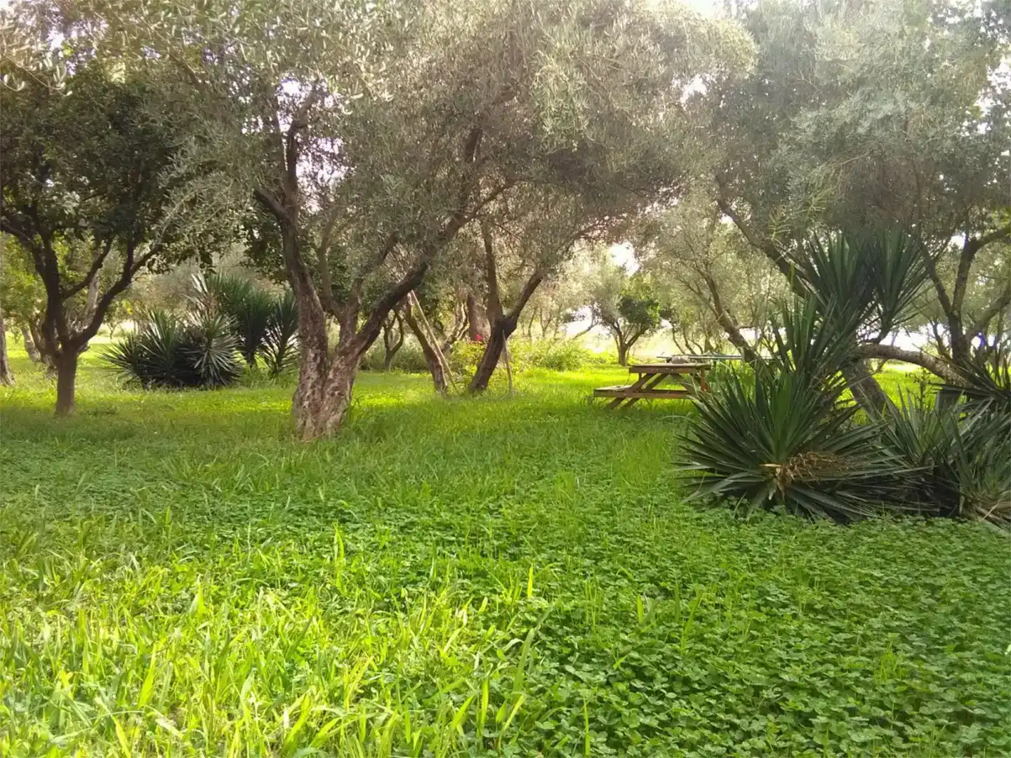 Jardí de Pis en venda en Órgiva amb Jardí privat, Parquet i Piscina