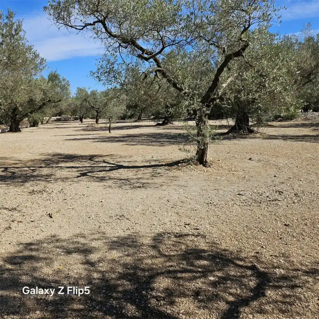 Grundstücke zum Verkauf in La Galera , Tarragona