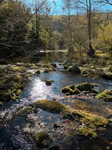 Finca rústica en Venta en GIP-5244 en Sant Miquel de Campmajor