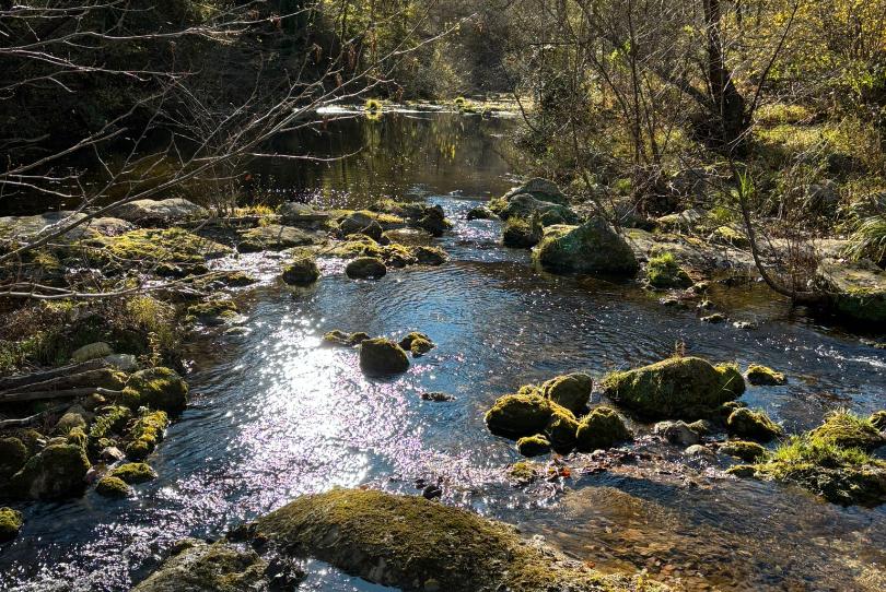 Foto 1 de Finca rústica en venda a Gip-5244, Sant Miquel de Campmajor, Girona