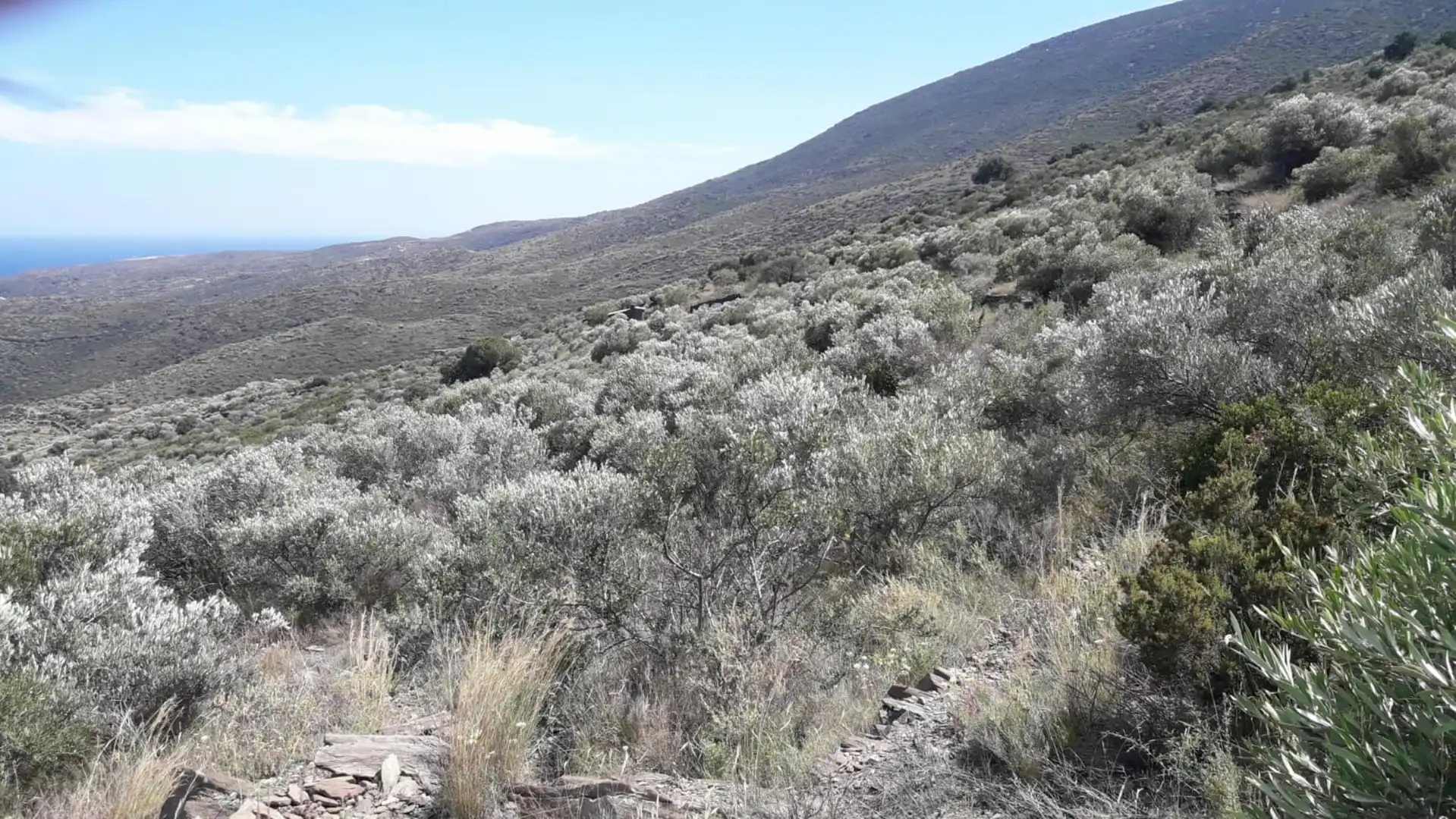 Lands and plots for sale in Ses Closes, imagen 15