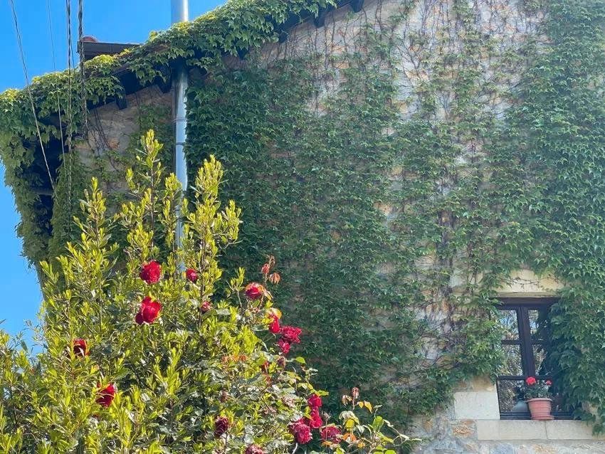 Garden of House or chalet for sale in Alfoz de Lloredo  with Heating, Private garden and Terrace