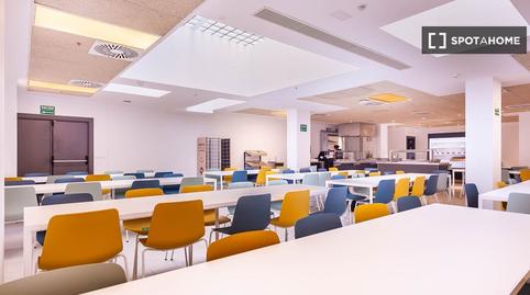 Photo 2 of Study for share in Sector Sur  - La Palmera - Reina Mercedes,  Sevilla Capital