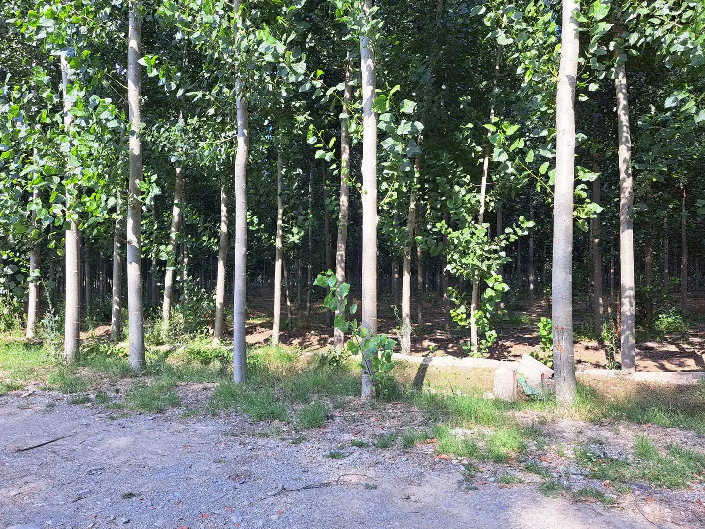 Land for sale in Fuente Vaqueros