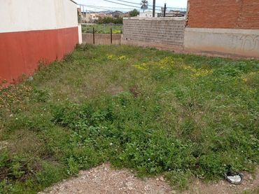 Terreny residencial en venda a Calle Calle del Pilar de Cabezo de Torres 1