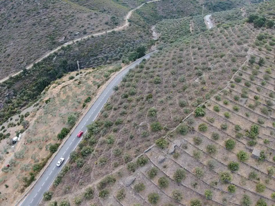 Lands and plots for sale in Territorio Surés, imagen 9