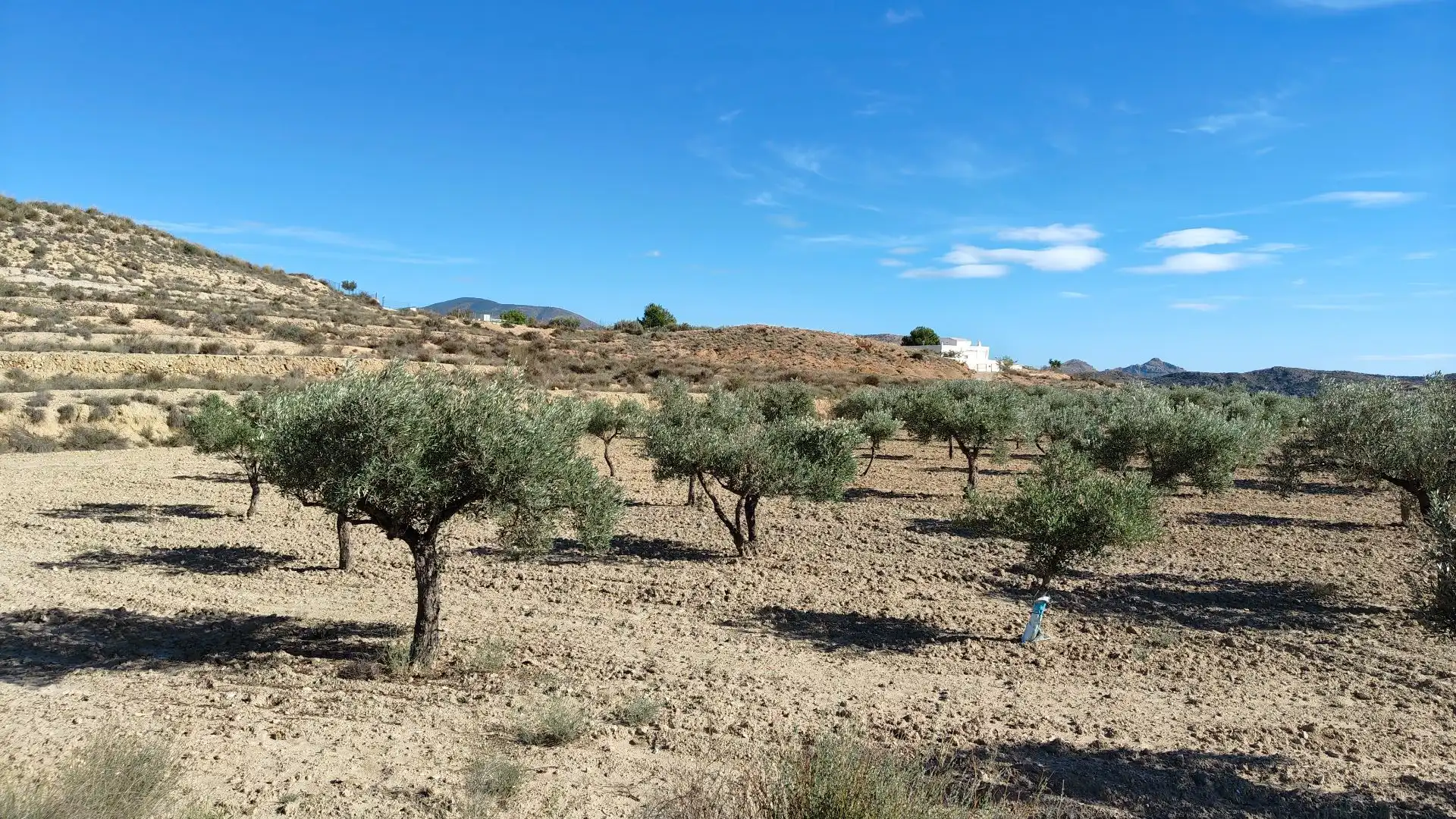 Terreno rustico in vendita a Campo Alto - Club de Campo, imagen 9