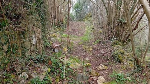 Foto 4 von Grundstücke zum Verkauf in Lugar Pontigo, 1, Belmonte de Miranda, Asturias